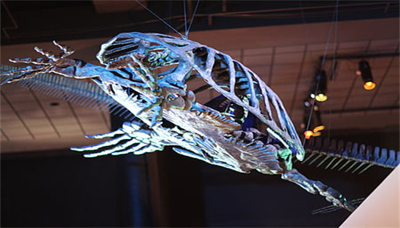 城市燃?xì)獍踩芾硪?guī)定有哪些要點(diǎn)？