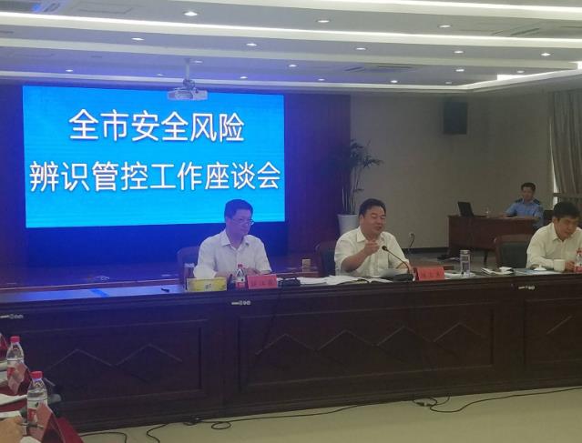 電力生產(chǎn)安全風險辨識評價與應用 電力生產(chǎn)安全風險辨識評價與應用