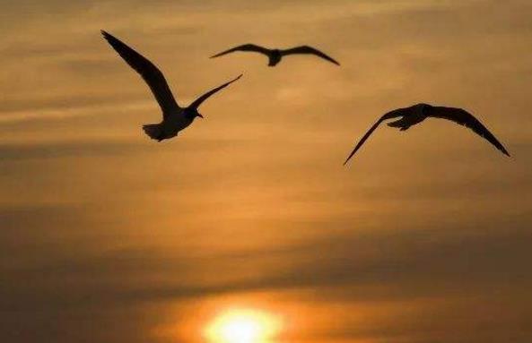 如何利用心理學(xué)做好HSE管理