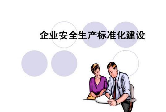 企業(yè)安全如何實現(xiàn)標(biāo)準(zhǔn)化