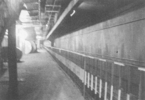 圖2：地鐵站臺(tái)層軌行區(qū)臨邊圍護(hù)